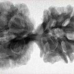 11 MK Gaurishankar 38.7mm 7.83gm - Inverse xray