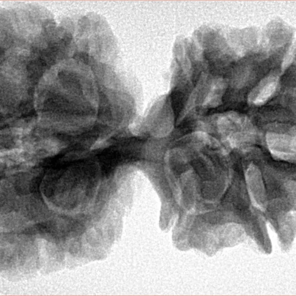 11 MK Gaurishankar 38.7mm 7.83gm - Inverse xray