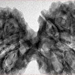 12 MK Gaurishankar 44.4mm 8.83gm - Inverse xray