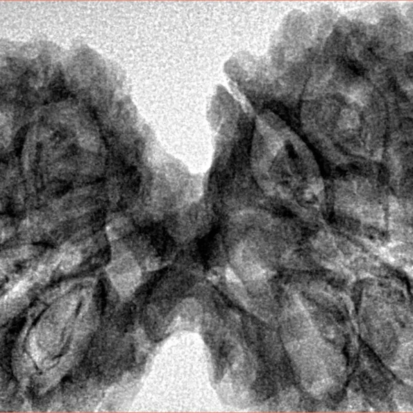 12 MK Gaurishankar 44.4mm 8.83gm - Inverse xray