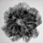 1MK(Underdeveloped) 24.5mm 4.59gm - Inverse xray