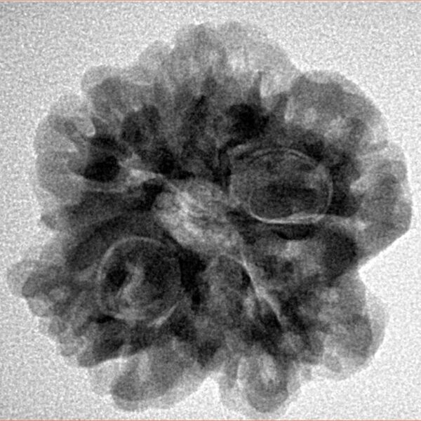 1MK(Underdeveloped) 24.5mm 4.59gm - Inverse xray