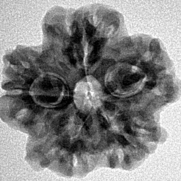 1MK(Underdeveloped) 23.2mm 3.78gm - Inverse xray