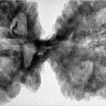 11 MK Gaurishankar 48mm 10.65gm - Inverse xray