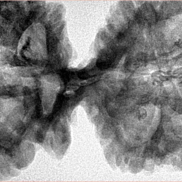 11 MK Gaurishankar 48mm 10.65gm - Inverse xray