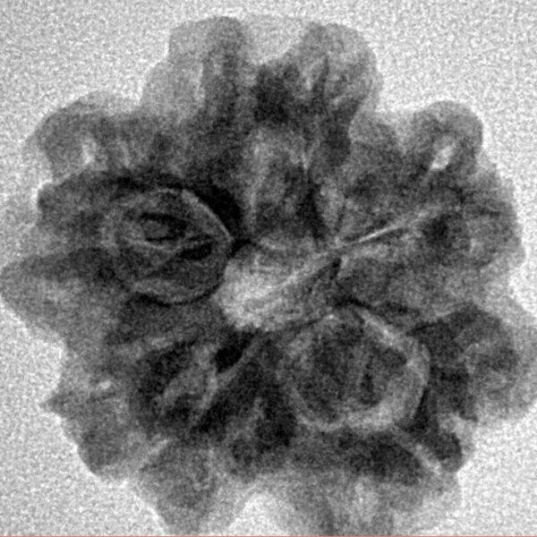 1MK(Underdeveloped) 23.6mm 4.07gm - Inverse xray