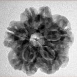 1MK(Underdeveloped) 23.6mm 4.27gm - Inverse xray