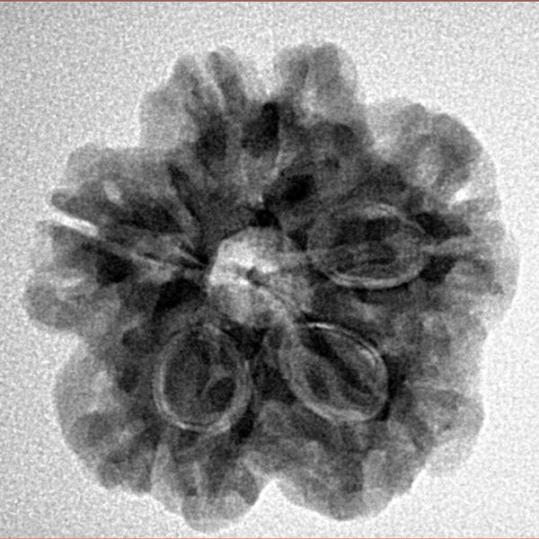 1MK(Underdeveloped) 23.6mm 4.27gm - Inverse xray