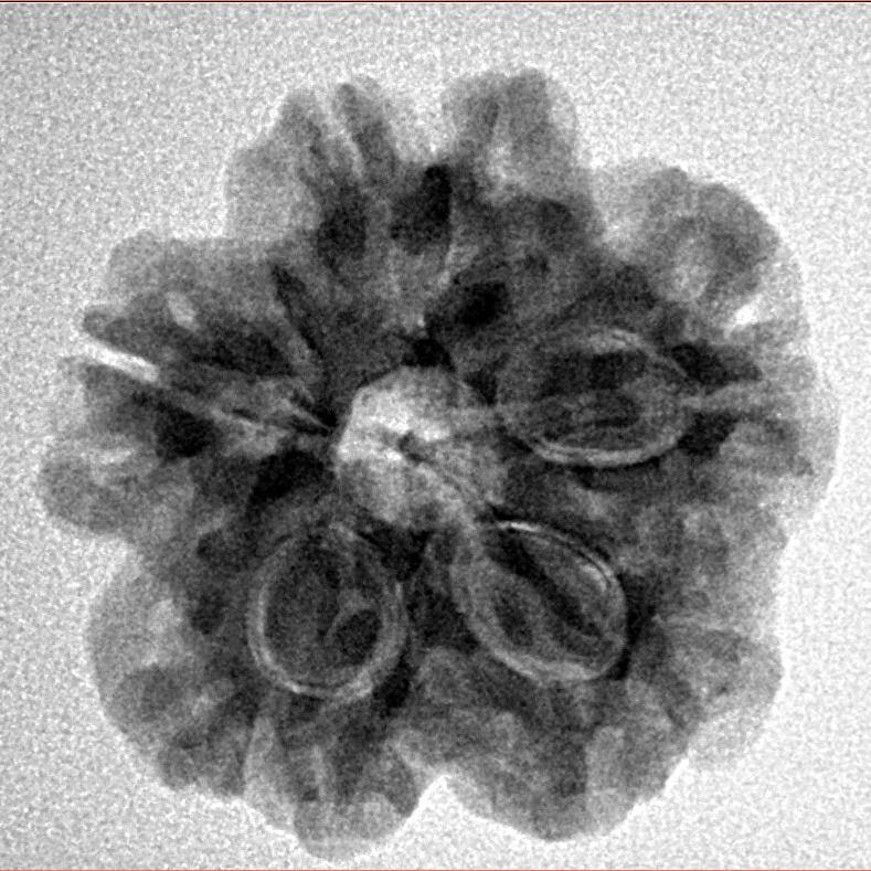 1MK(Underdeveloped) 23.6mm 4.27gm - Inverse xray