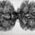 9 MK Gaurishankar 39.6mm 5.65gm - Inverse xray