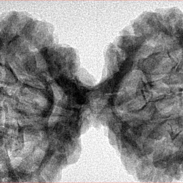 10 Mk Gaurishankar 43.6mm 8.39gm - Inverse xray