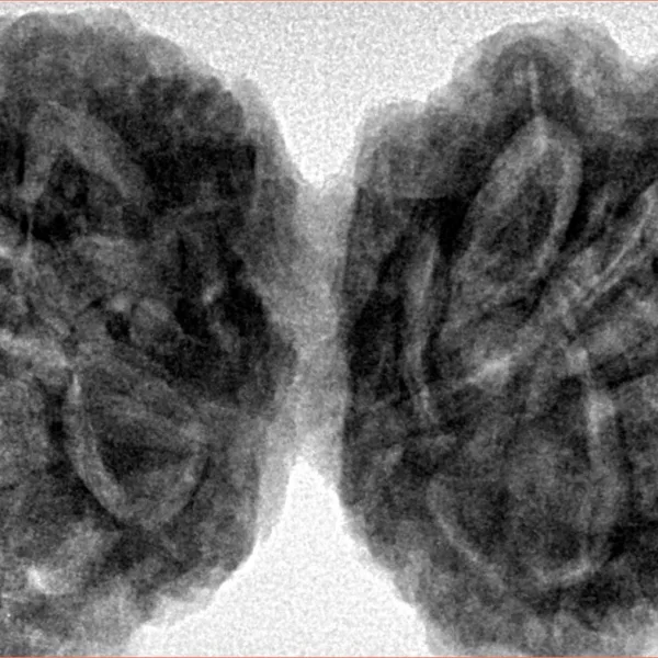 9 MK Gaurishankar 43.7mm 12.5gm - Inverse xray