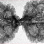 11 MK Gaurishankar 43.7mm 9.18gm - Inverse xray