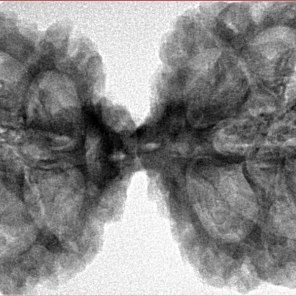 11 MK Gaurishankar 43.7mm 9.18gm - Inverse xray
