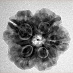 1MK(Underdeveloped) 23.5mm 4.09gm - Inverse xray