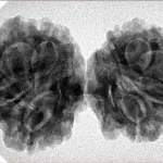 9 MK Gaurishankar 35.4mm 5.76gm - Inverse xray