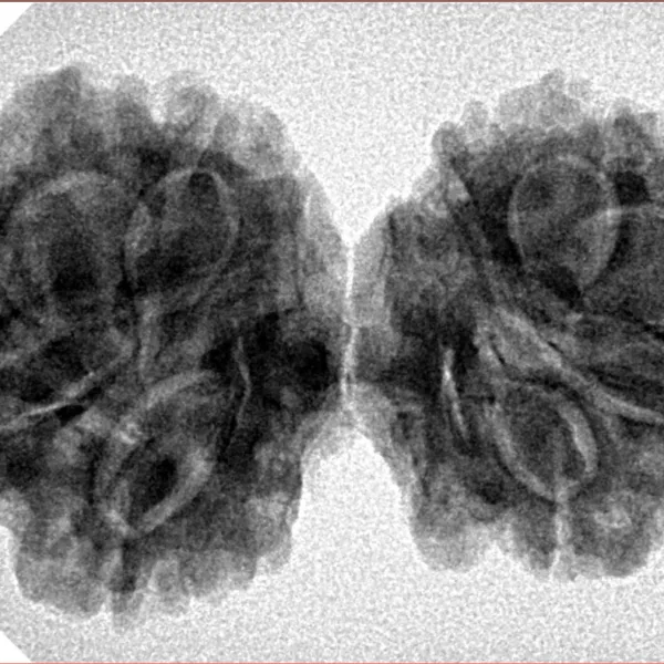 9 MK Gaurishankar 35.4mm 5.76gm - Inverse xray