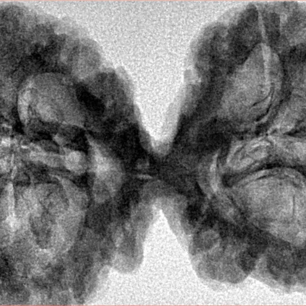 9 MK Gaurishankar 44.6mm 7.84gm - Inverse xray