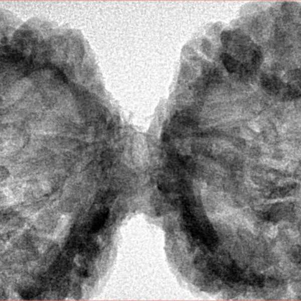 10 Mk Gaurishankar 47mm 9.6gm - Inverse xray