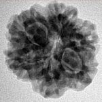 1MK(Underdeveloped) 22.7mm 3.36gm - Inverse xray