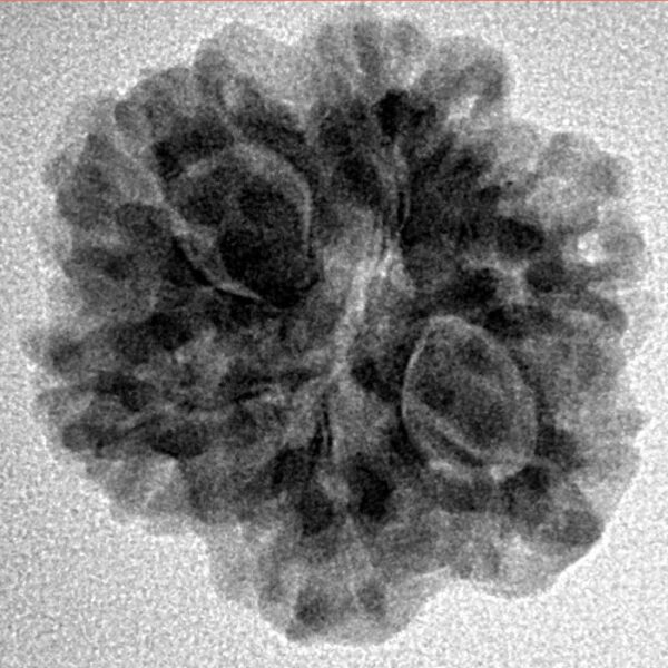 1MK(Underdeveloped) 22.7mm 3.36gm - Inverse xray