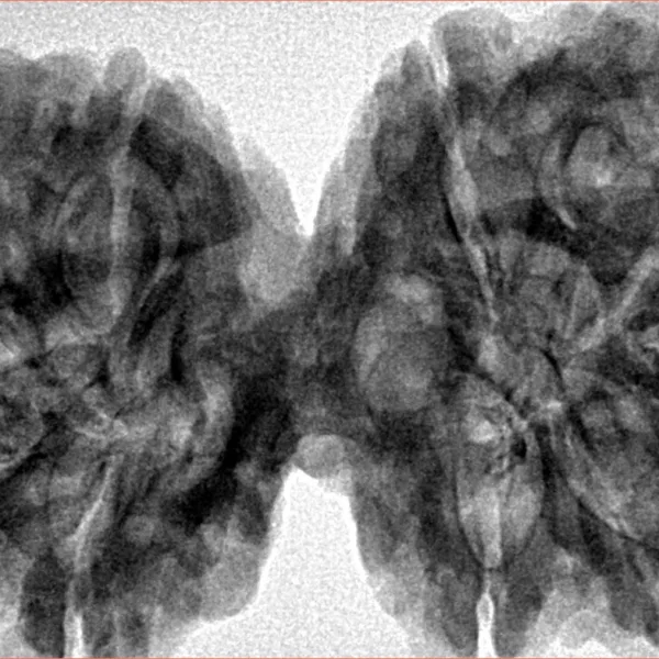 9 MK Gaurishankar 42.6mm 10gm - Inverse xray