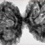 9 MK Gaurishankar 44.7mm 9.57gm - Inverse xray