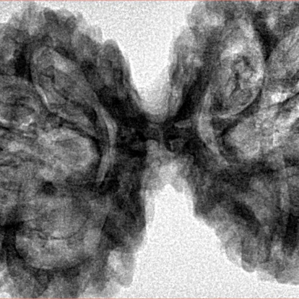 9 MK Gaurishankar 44.7mm 9.57gm - Inverse xray