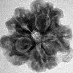 1MK(Underdeveloped) 22.5mm 3.75gm - Inverse xray