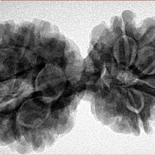 8 MK Gaurishankar 38.2mm 8.08gm - Inverse xray