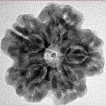 1MK(Underdeveloped) 24.6mm 4.84gm - Inverse xray