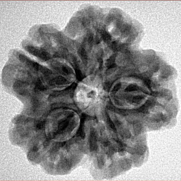 1MK(Underdeveloped) 24.6mm 4.84gm - Inverse xray