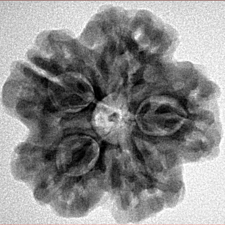 1MK(Underdeveloped) 24.6mm 4.84gm - Inverse xray