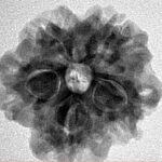 1MK(Underdeveloped) 23.6mm 4.14gm - Inverse xray