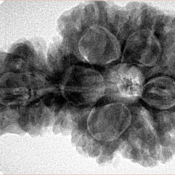 Sawar/Ganesh (5+1) 34.2mm 7.79gm - Inverse xray