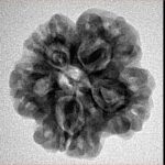 1MK(Underdeveloped) 22.8mm 3.89gm - Inverse xray