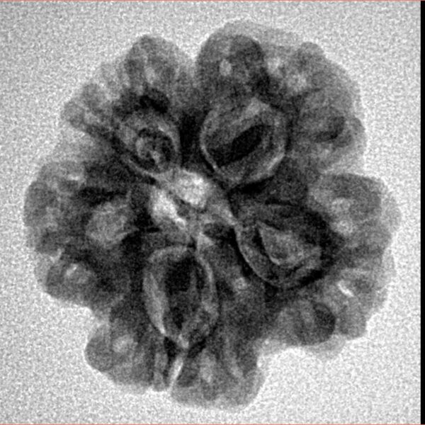 1MK(Underdeveloped) 22.8mm 3.89gm - Inverse xray