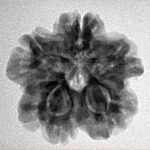1MK(Underdeveloped) 23.2mm 4.15gm - Inverse xray