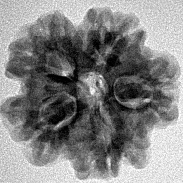 1MK(Underdeveloped) 22.6mm 3.77gm - Inverse xray