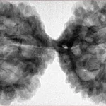 10 Mk Gaurishankar 49.2mm 10.79gm - Inverse xray