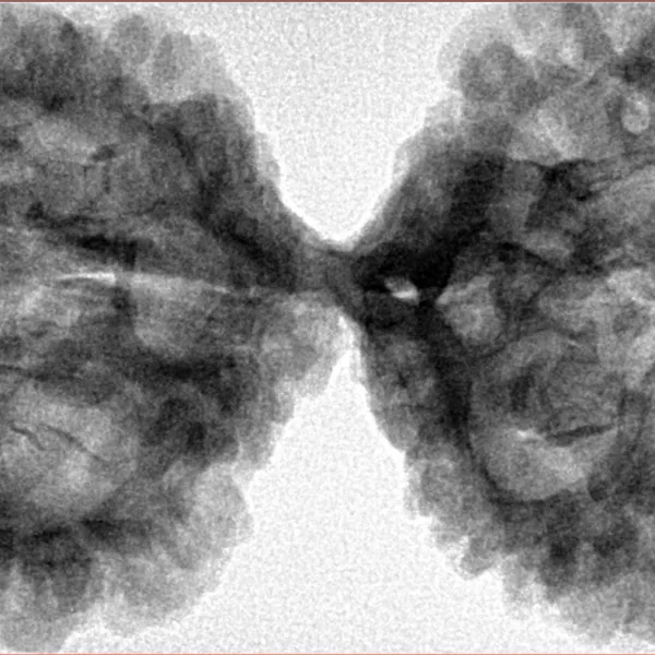 10 Mk Gaurishankar 49.2mm 10.79gm - Inverse xray