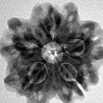 1MK(Underdeveloped) 25.4mm 4.6gm - Inverse xray