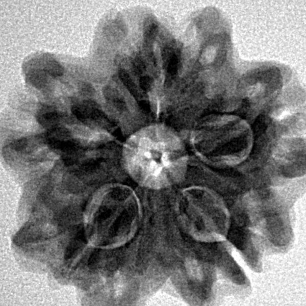 1MK(Underdeveloped) 25.4mm 4.6gm - Inverse xray