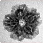 1MK(Underdeveloped) 23mm 3.92gm - Inverse xray