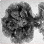 19 MK Gaurishankar 46.2mm 9.27gm - Inverse xray