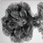 19 Mukhi Gaurishankar 46.2mm 9.27gm - Inverse xray