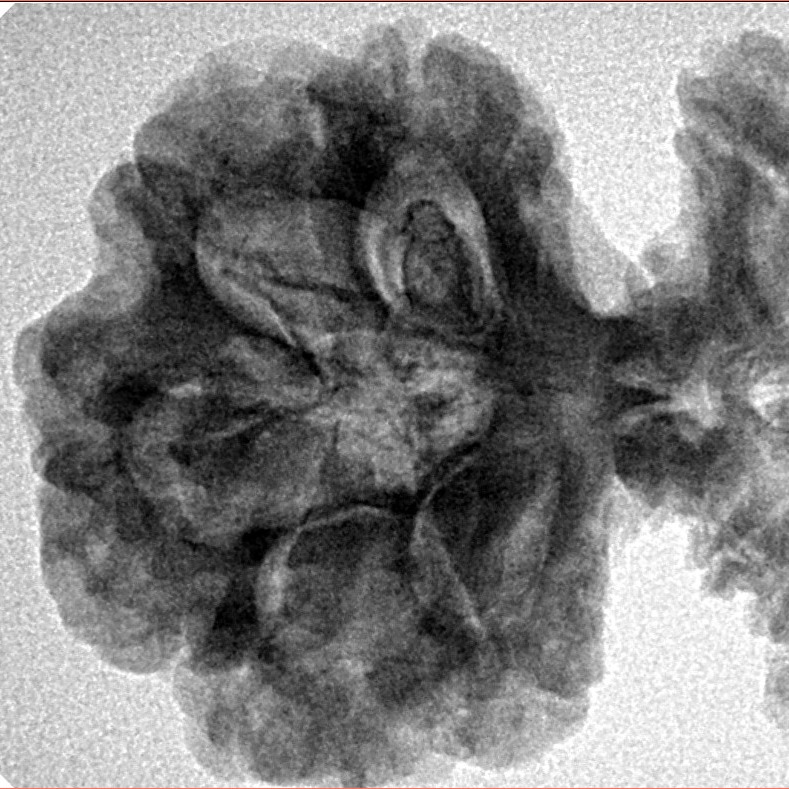 19 Mukhi Gaurishankar 46.2mm 9.27gm - Inverse xray