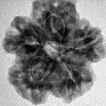 1MK(Underdeveloped) 23.9mm 3.86gm - Inverse xray