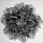 1MK(Underdeveloped) 24.6mm 4.82gm - Inverse xray