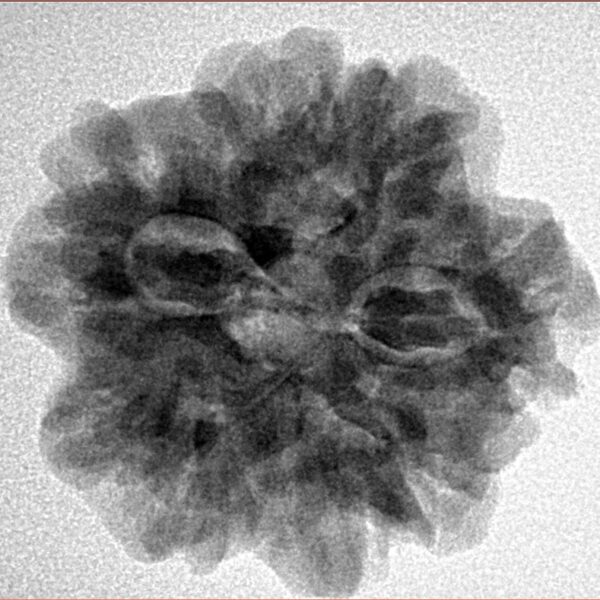 1MK(Underdeveloped) 24.6mm 4.82gm - Inverse xray